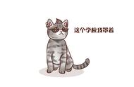 狸花猫：优雅与实用并存，为何少人问津？