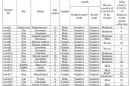 新冠病毒蔓延至宠物界：西班牙猫咪感染病例揭秘