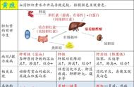 揭秘兽医临床诊断学的核心要素