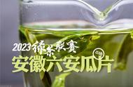 徽六口粮瓜片在2023绿茶联赛中的评测结果