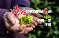 2023年西山碧螺春的第二测：咏萌特级一等碧螺春的专业评测