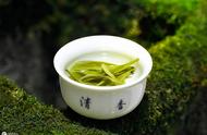 揭秘春茶、夏茶与秋白露茶的独特风味