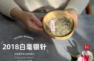 白茶的奇妙旅程：从种茶到卖茶