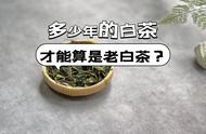 揭秘老白茶的评定门槛：究竟需要多少年？