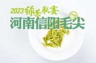 绿茶联赛2023：信阳毛尖小浑淡，口感评测揭秘