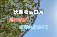 白茶新手指南：了解“纯日晒”和“机器烘干”的区别