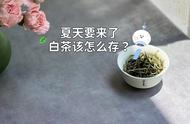 迎接夏天的到来：白茶的最佳储存方法