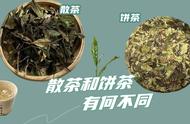 寿眉白茶选购指南：散茶与饼茶的优劣对比