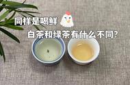 一篇文章搞懂白茶和绿茶：口感和品质的对比