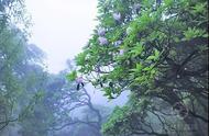 来天台山，尽享“山中白云闲”的惬意