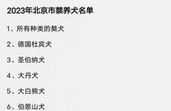 北京2023年禁养犬名单出炉：金毛、拉布拉多等能否养？