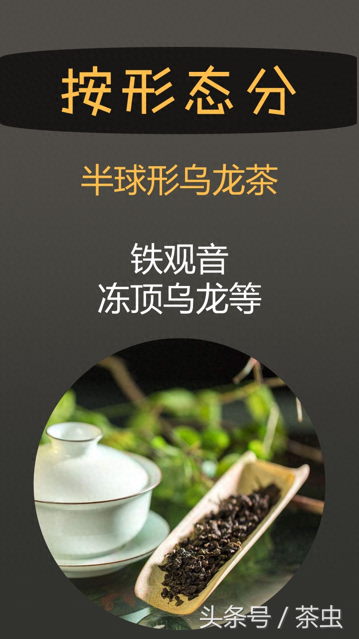 乌龙茶究竟有哪些？