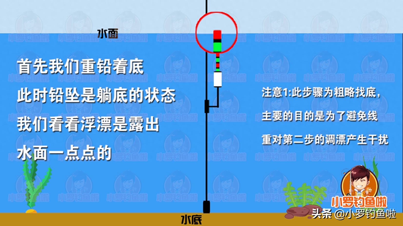 30秒教会你快速调漂，别人还在找底，而你已经上鱼！