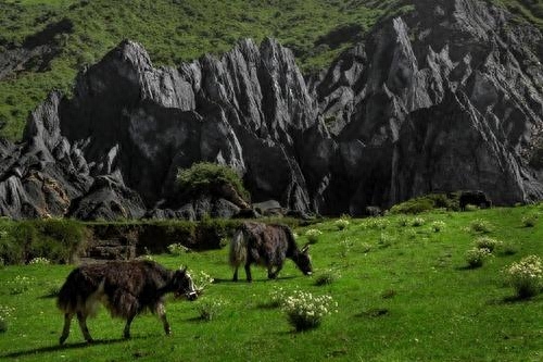 风景图集：最美四川墨石公园景区，风景宜人